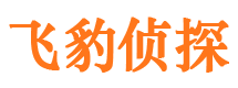 涟源外遇调查取证